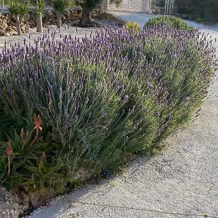 Lp Rum i privatbostad Kokkino Chorio
